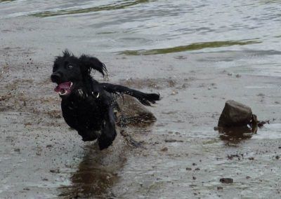 Duffy goes after Daisy