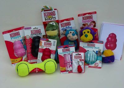 The Kong dog toys!