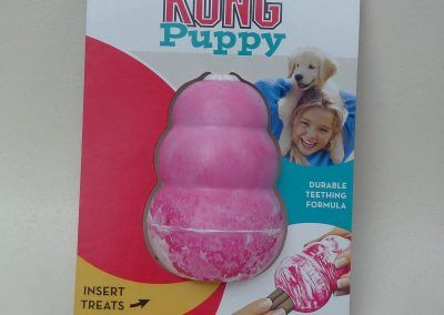 Kong Puppy