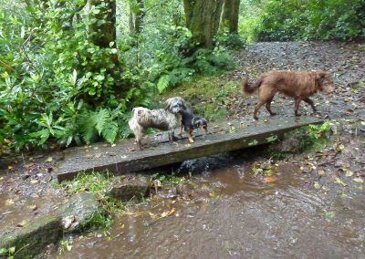 Crossing a bridge!