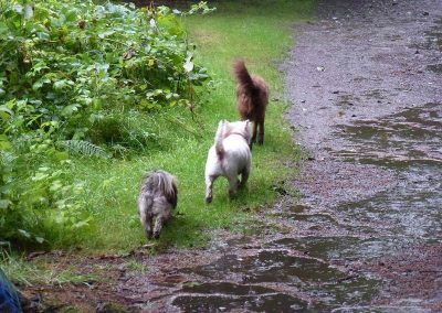 On the trail at Finlaystone!