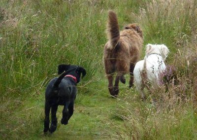 Beau catches up with Ruby and Mack!