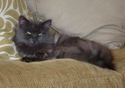 Buster taking it easy!