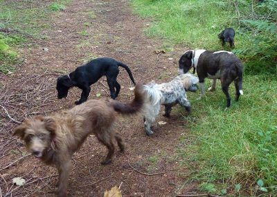 The gang on the way back!
