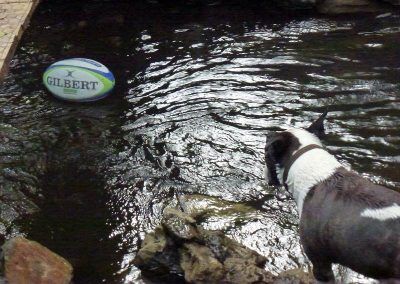 Wilfred with his rugby ball!