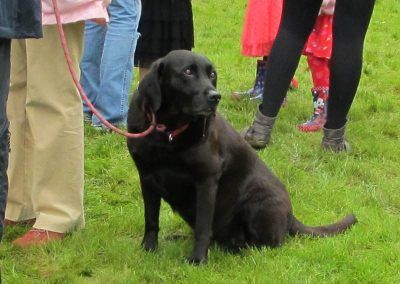 A pet show winner?