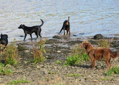 At the shore!
