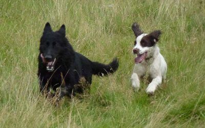 Nevis keeps up with Skye! Nevis keeps up with Skye!