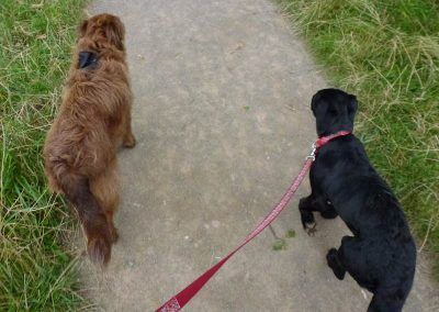 Bea dog walking with Ruby!