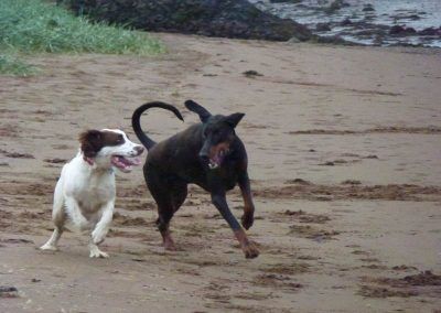 Rory with springer Nevis