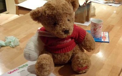 The bear I practised my bandaging on! bandaged bear!