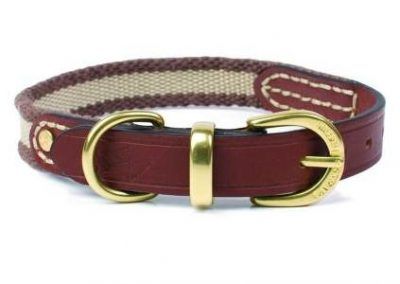 A stylish new dog collar?