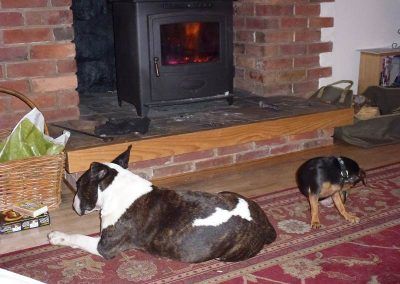 Wilf and Chilli enjoying the woodburning stove!