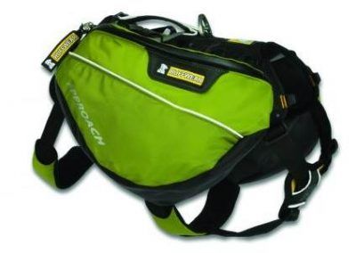 A dog backpack is very cool!