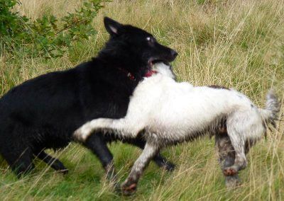 Skye and Nevis!