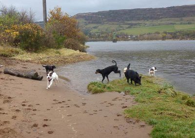 We've just arrived at Erskine beach!