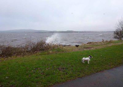 stormy river clyde