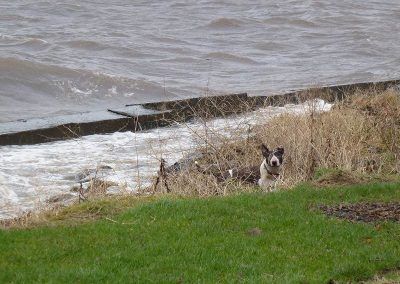 stormy river clyde