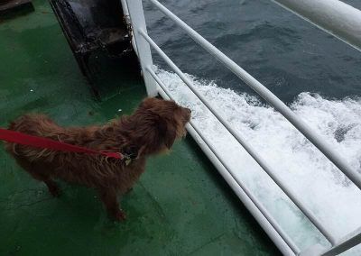 on the ferry to arran