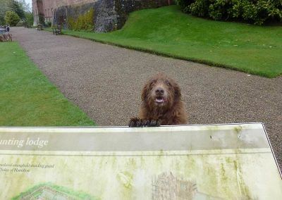 brodick castle sign