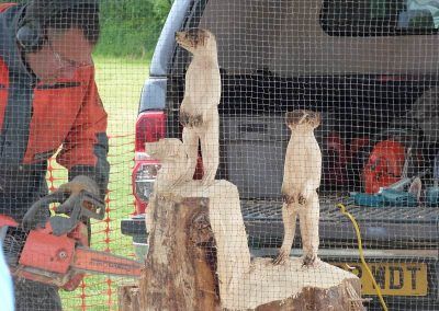 chainsaw carving by peter bowsher