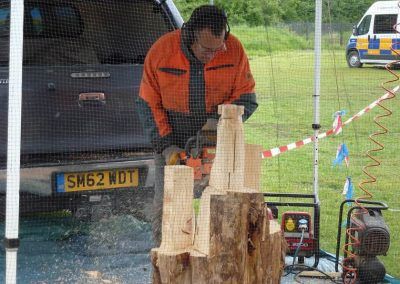 peter bowsher chainsaw carving