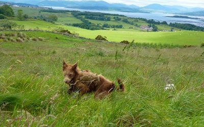 We’re at the top of Langbank! We’re at the top of Langbank!
