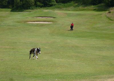 gleddoch golf course
