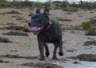 Erskine Stella loves the beach