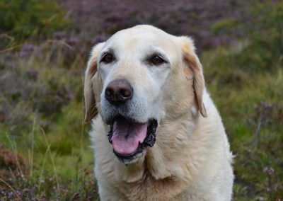 Bonnie