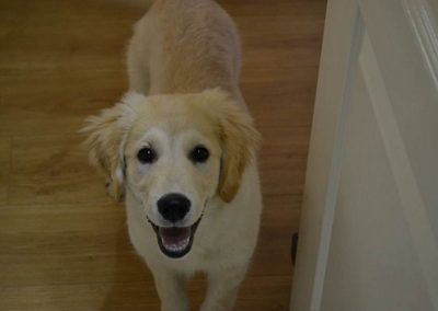 elsa greets me at door