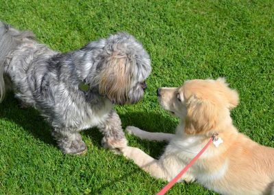 Ruffles and Elsa meet!