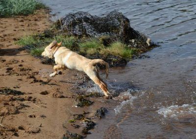 Elsa running out of water