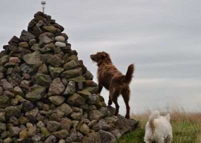 Cairn at Knockmountain
