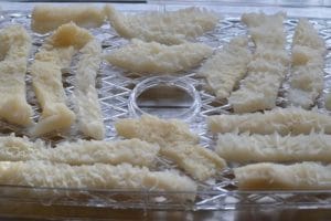 white tripe on tray