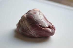 lamb heart