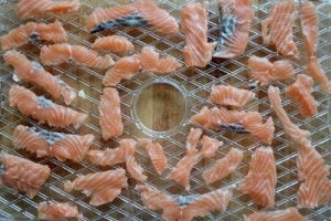 salmon strips on tray