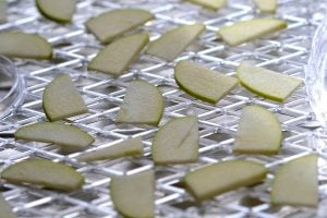 dehydrated apple