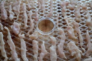sliced chicken on tray