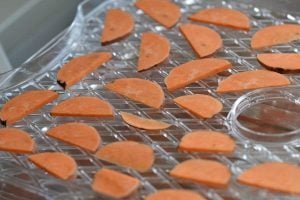 dehydrated sweet potato