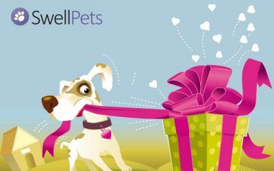 swellpets.co.uk competition