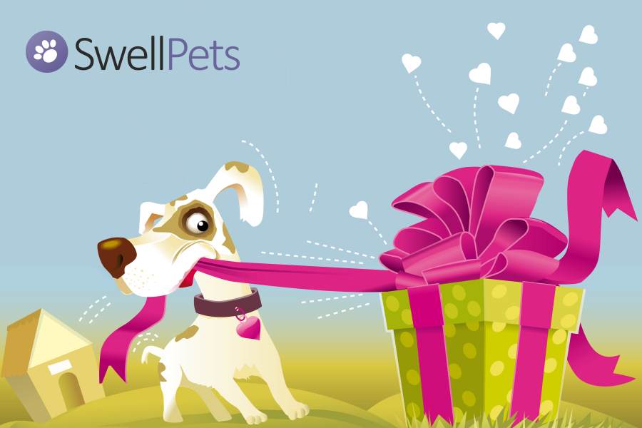 swellpets.co.uk competition