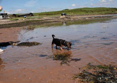 beach next to Scottish national centre