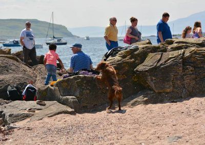 dog on busy beach in millport