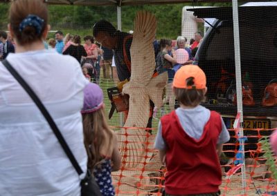 Peter bowsher chainsaw carver