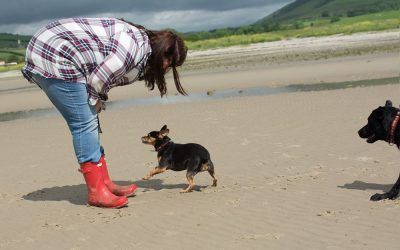 Chilli runs to Isobel dog running to owner