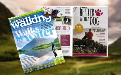 better with a dog country walking magazine