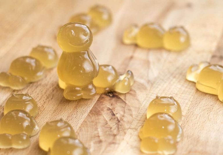 jelly babies for dogs