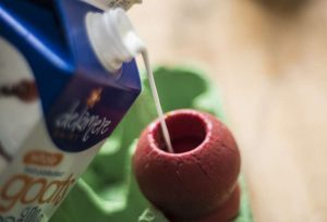 pour milk into kong