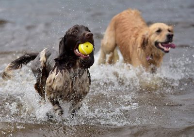 Flo loves her ball